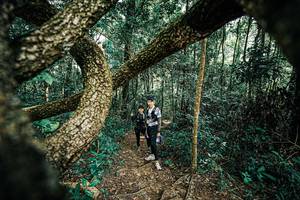 BIB: 
                            <button type="button" onclick="openModal(25394382)" class="btn btn-primary btn-sm float-right btn-popup" data-toggle="modal" data-target=".modal-high-quality">
                        <i class="fas fa-shopping-cart"></i> Add to Cart
                    </button>
                                            <button type="button" onclick="isThisMe(25394382, true)" class="btn btn-success btn-sm float-right btn-popup btn-isme hidden" data-toggle="tooltip" data-placement="bottom" title="นี่คือรูปของคุณใช่ไหม คลิกที่นี่เพื่อเอาเข้าอัลบั้ม">
                        <i class="fas fa-plus"></i> Add to album
                    </button>
                    <button type="button" onclick="isThisMe(25394382, false)" class="btn btn-warning btn-sm float-right btn-popup btn-isnotme hidden">
                        <i class="fas fa-ban"></i> Remove from album
                    </button>